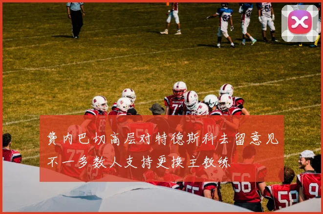 费内巴切高层对特德斯科去留意见不一多数人支持更换主教练