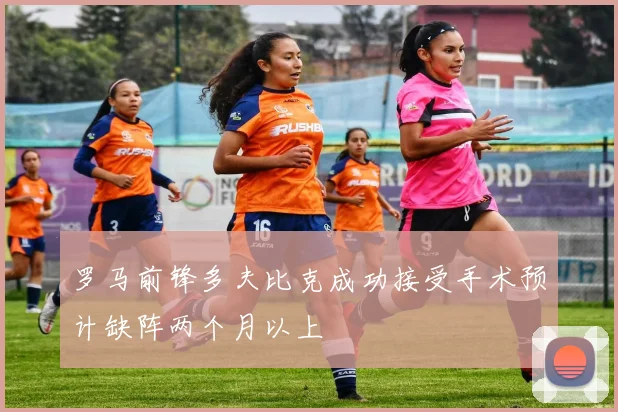 罗马前锋多夫比克成功接受手术预计缺阵两个月以上