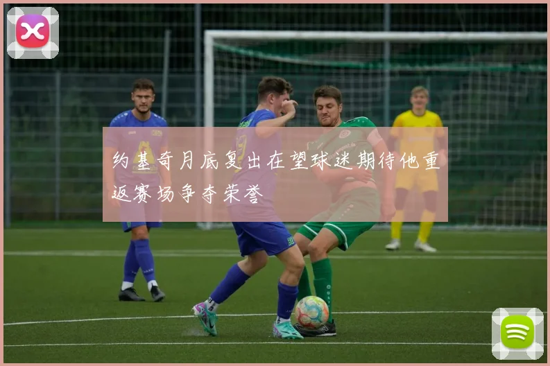 约基奇月底复出在望球迷期待他重返赛场争夺荣誉
