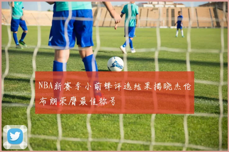 NBA新赛季小前锋评选结果揭晓杰伦布朗荣膺最佳称号