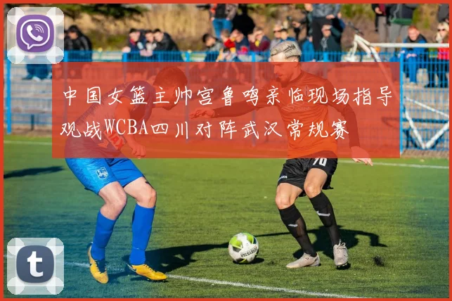 中国女篮主帅宫鲁鸣亲临现场指导观战WCBA四川对阵武汉常规赛